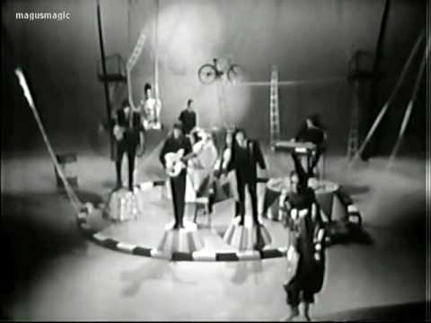 The Animals - Bring It On Home To Me (Live, 1965) ♫♥